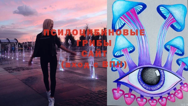 PSILOCYBIN Алексеевка