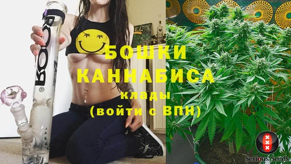 PSILOCYBIN Алексеевка