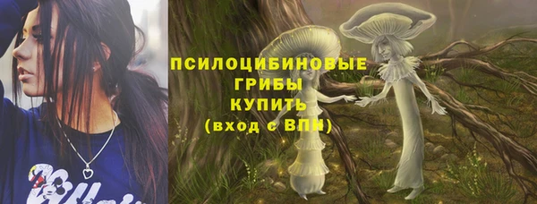 PSILOCYBIN Алексеевка