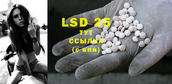 PSILOCYBIN Алексеевка