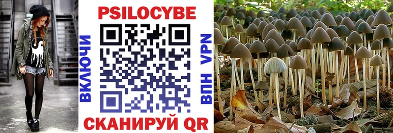 мега ссылки  Тобольск  Галлюциногенные грибы Psilocybine cubensis 