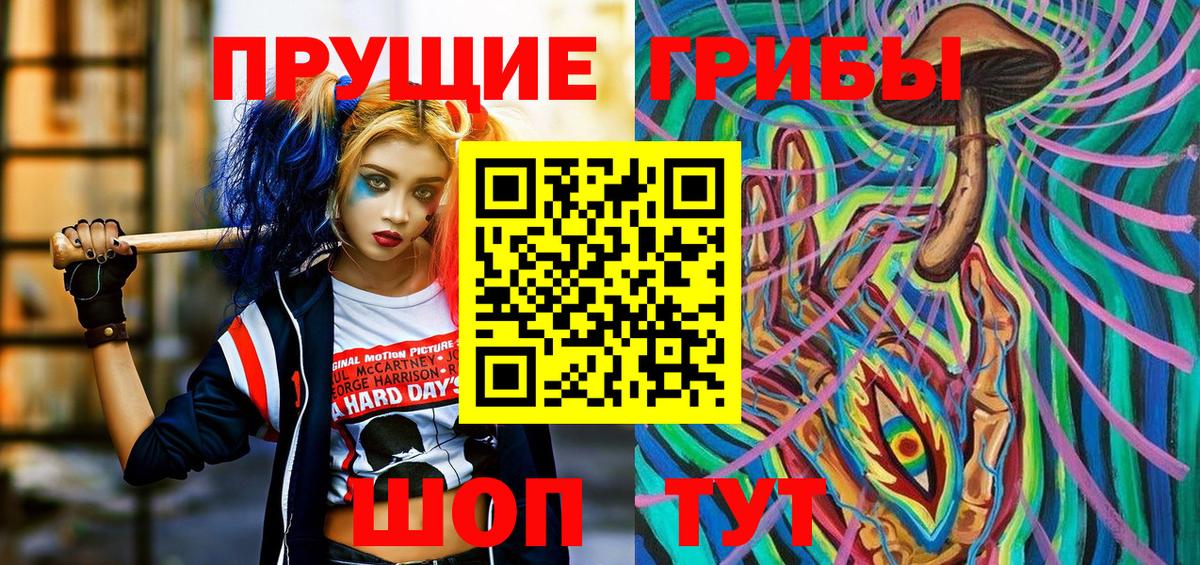 Тобольск  Псилоцибиновые грибы Psilocybe  Вход с VPN 