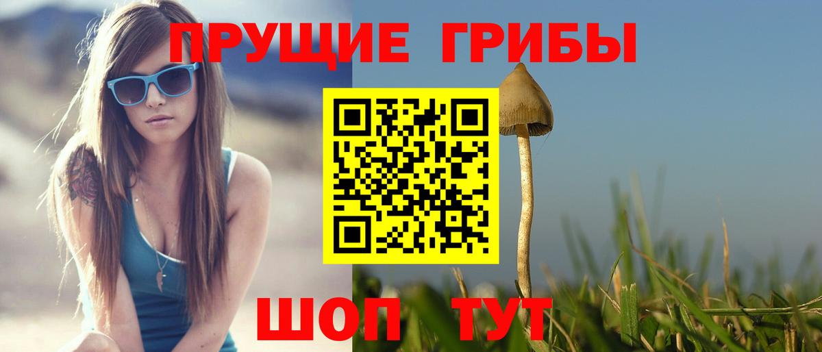 Галлюциногенные грибы Psilocybine cubensis Тобольск