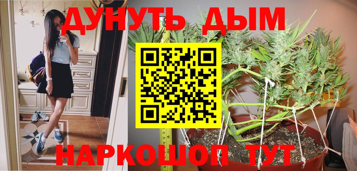 Канабис Bruce Banner  Вход с VPN  Канабис Amnesia  Канабис Amnesia  Тобольск 